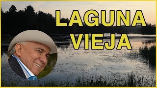 Laguna Vieja  Reynaldo Armas letra HD [upl. by Fredelia833]