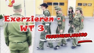 Formalexerzieren WT3  Feuerwehr Ausbildung [upl. by Ettelegna]