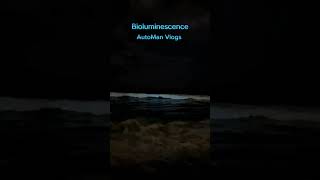 Bioluminescence📍palavakkam Beach Bioluminescence experience automan videos vlogs travel love [upl. by Ecienal320]