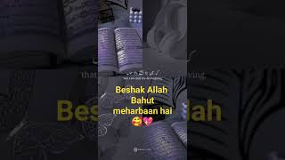 quraan only translationquraan only tarjuma urdu shorts millionviews [upl. by Merola868]