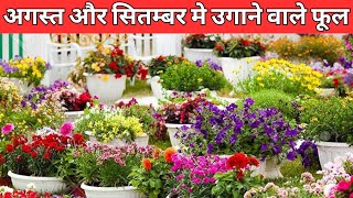 अगस्त और सितम्बर मे उगाने वाले फूल  Flowers to grow in August and September [upl. by Sjoberg744]