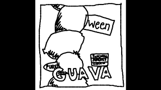 Ween Pure Guava Demos  Push the little daisies [upl. by Sibylle]