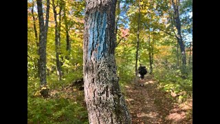 Superior Hiking Trail  September 2024  Days 5  6 [upl. by Eada363]