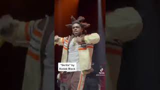 Kodak Black “Skrilla” live at The Novo in LA for Super Bowl Weekend [upl. by Auqinahc481]