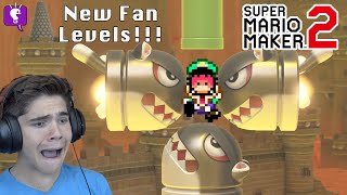 Mario Maker 2 Fan Levers Part 3 on HobbyFamilyTV [upl. by Aneeuqal]