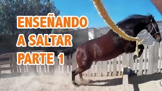 Entrenador de Caballos  Salto  Parte 1 [upl. by Aneeres]