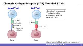 A CRISPR Vision for the Future of Cell Therapy [upl. by Liva]