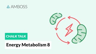 Energy Metabolism  Part 8 Anaerobic vs Aerobic Metabolism [upl. by Hutner]