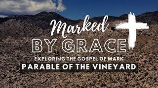 Lessons From The Parable Of The Vineyard [upl. by Niatsirt]