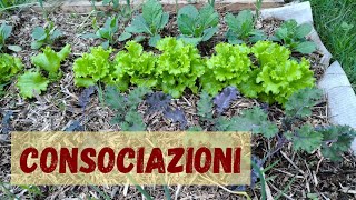 Consociazioni e avvicendamenti colturali nellorto nodig Agricoltura rigenerativa [upl. by Darken]