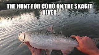 Chasing Coho In The Skagit River Washington State [upl. by Einiar]