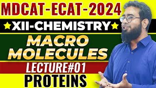 MDCAT2024  CHEMISTRY  CH19  MACROMOLECULES  LEC1  PROTEINS [upl. by Issi321]