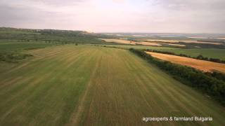 Жътва на ‪‎Silybum‬ marianum в сАврен производител Farmland Bulgaria ‪ [upl. by Ahsiuqel]