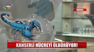 Kanserli hücreyi öldürüyor [upl. by Bilek32]