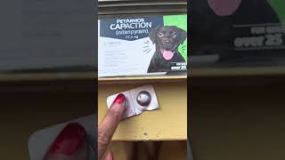 PetArmor CAPACTION nitenpyram Oral Flea Treatment for Dogs Fast Acting Tablets Start Killing Flea [upl. by Armillda]