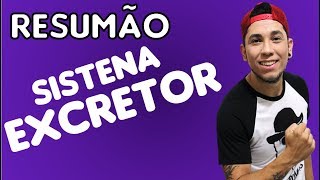 Sistema Excretor RESUMO BIOLOGIA  Biologia com Patrick Gomes [upl. by Zaslow]