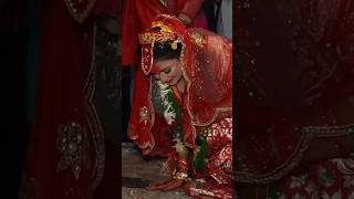 Nepali Wedding Shorts  Viral Shorts  Wedding Video Nepalgoviralyoutubeshortsshortsnepal🇳🇵 [upl. by Cedell989]