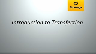 Introduction to Transfection [upl. by Macy]