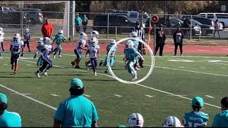 UNDEFEATED SB CHAMPS🥇 Cv Dolphins VS RiverIsland Riptide 8u [upl. by Carrick]