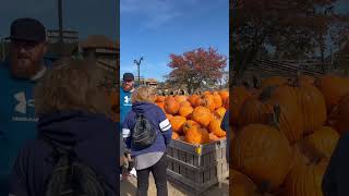 Pumpkin 🎃 festival in Linvilla Orchards outdoor farmer market pumpkin festival farmer [upl. by Bolte]