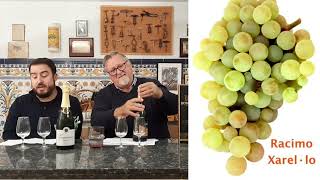 161  ¿Sabes las diferencias entre Corpinnat Clàssic Penedés y Cava [upl. by Paderna179]