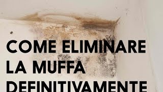 COME ELIMINARE LA MUFFA UMIDITACONDENSA UMIDITA DI RISALITA CHIAMA 340415527 ti aiuterò [upl. by Acus73]