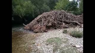 El río Arga muy descuidado a su pasó por la Rocha aytopamplona TxemaDobarro [upl. by Eus]