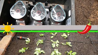 Hochbeet Bewässerung verlegen mit Gardena Ventilbox 9 V BluetoothSet und Gardena Micro Drip System [upl. by Nereen]