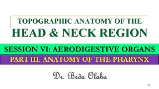 ANATOMY OF THE PHARYNX [upl. by Morie]