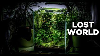 My LostWorld nano tank  The ultimate nature aquarium for beginners [upl. by Misti]