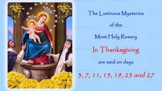 The Luminous Mysteries  In Thanksgiving  Annual 54 Day Rosary Novena [upl. by Dedie]