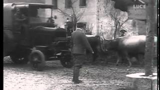 Archivio Luce  Documentazione Cinematografica della Prima Guerra  Clip 1 [upl. by Benton413]