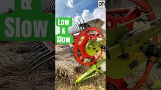 LOW amp SLOW Combining Laid Wheat agriculture harvest2023 [upl. by Hnamik169]