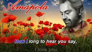 Amapola Karaoke Andrea Bocelli [upl. by Standford]