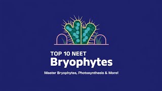 quotTop 10 NEET Biology Questions Bryophytes Photosynthesis and Plant Anatomy  NEET 2025 Prepquot [upl. by Naloj]