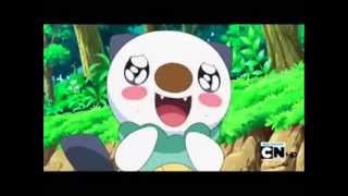 Oshawott is Cute [upl. by Gaye]