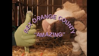 Rex Orange County  AMAZING Official Video [upl. by Aliek]