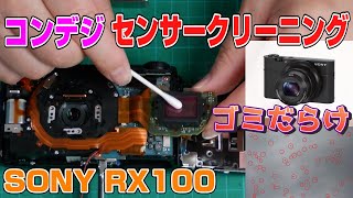 コンデジ SONY RX100 センサークリーニング [upl. by Aldridge]