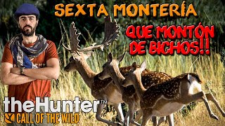 🐗GRAN MONTERÍA DE JABALÍES CON NOTZYHUNT🐗  THE HUNTER CALL OF THE WILD🌿 [upl. by Downey291]