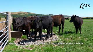 Watering Solutions for Paddock Grazing [upl. by Eecyac]