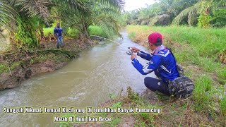 KEGANASAN IKAN YANG ADA DI PARIT KECIL  MANCING IKAN BESAR PAKAI JORAN KECIL [upl. by Gathard]