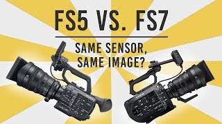 FS5 vs FS7 Shootout Same Sensor Same Image [upl. by Irual980]