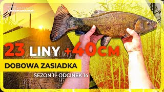 ZASIADKA ŻYCIA  Fish Active Aqua [upl. by Nospmis]