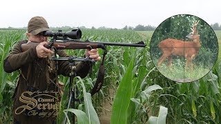 Roebuck hunting in Croatia  Cesma 2018  Rehbockjagd in Kroatien [upl. by Genie]