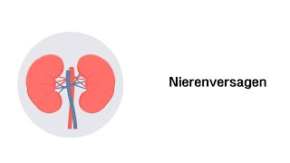 Nierenversagen  Erkrankungen der Niere [upl. by Leuqer]