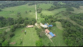 Hacienda La Auxiliadora  Sabana de Torres [upl. by Ashton974]