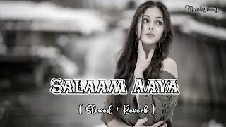 SalaamAaya  FromVeer   Slowed and Reverb LoFiSalmanKhanwithZarineKhan [upl. by Zevahc912]