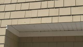 Yellow Jackets Swarming Above the Garage Door [upl. by Jervis]