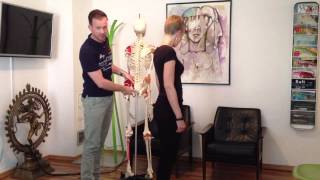 Chiropractic  Advanced Meningeal Release Technique [upl. by Lindsay]