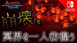 【Arietta of Spirits】死後の世界をする抜けて、冥界をゆく 4【ハードモード】【アリエッタオブスピリッツ】【初見】【Switch】【26歳フリーター】 [upl. by Nageem]